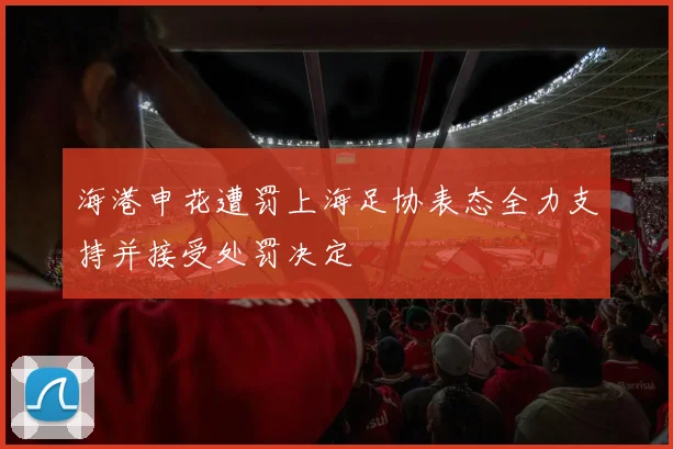 海港申花遭罚上海足协表态全力支持并接受处罚决定